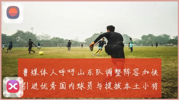 鲁媒体人呼吁山东队调整阵容加快引进优秀国内球员与提拔本土小将