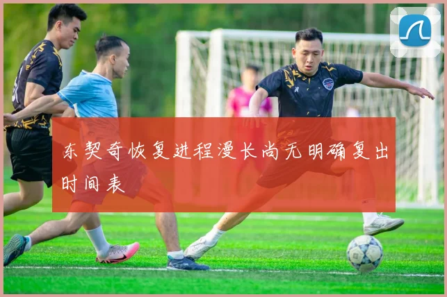 东契奇恢复进程漫长尚无明确复出时间表