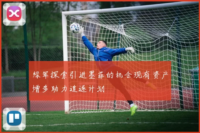 绿军探索引进墨菲的机会现有资产增多助力追逐计划